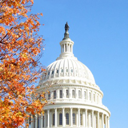 whitehouseautumn_web